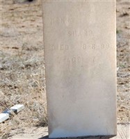 Henry Sharp
