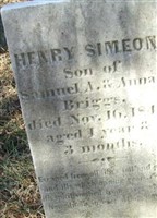 Henry Simeon Briggs