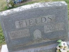 Henry W. Fields