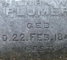 Henry W. Plumer