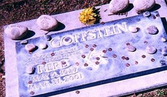 Herb Goffstein