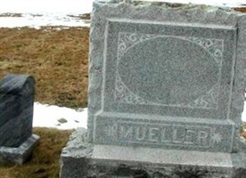 Herbert A Mueller Herbert A Mueller