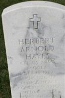 Herbert Arnold Hayes