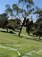 Herbert Corthell Herbert Corthell