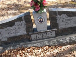 Herbert Edmond Jones, Jr