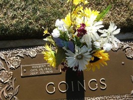 Herbert Goings