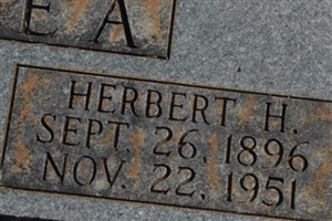 Herbert H. McElyea