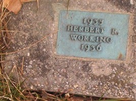 Herbert R. Working
