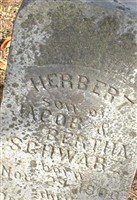 Herbert Schwarz Herbert Schwarz