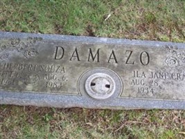 Herbert Souza Damazo Herbert Souza Damazo