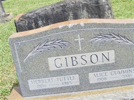 Herbert Tuttle Gibson