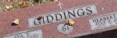 Herbert W Giddings