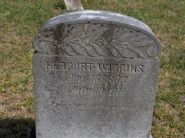 Herburt Wiggins Herburt Wiggins