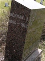 Herman A Williams Herman A Williams