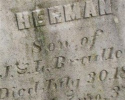 Herman Bradley
