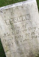 Herman Bradley