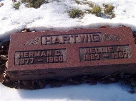 Herman C Hartwig