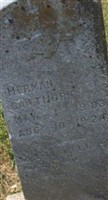 Herman Cawthron (2049010.jpg) Herman Cawthron (2049010.jpg)