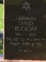 Herman David Bloom