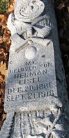 Herman Eisel