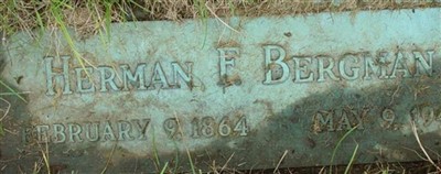 Herman F. Bergman