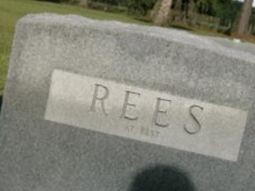Herman J Rees