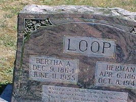 Herman Loop