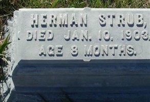 Herman Strub