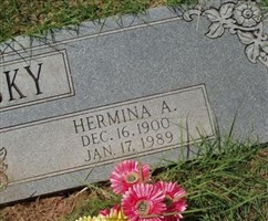 Hermina A. Kroschewsky