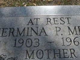 Hermina P Meyer