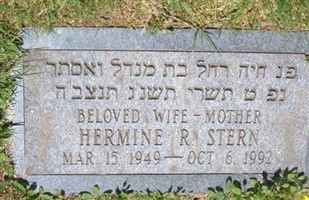 Hermine R Stern
