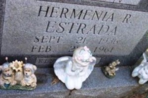 Herminia Romero Estrada Herminia Romero Estrada