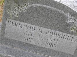 Herminio M. Rodriguez