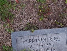 Hermino Rico