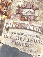 Hervey Small Hervey Small