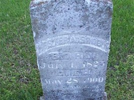 Hester A. Scoby