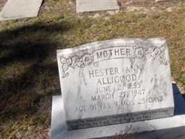 Hester Ann Alligood Hester Ann Alligood