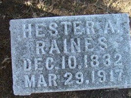 Hester Ann Stringfield Raines Hester Ann Stringfield Raines