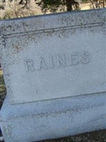 Hester Ann Stringfield Raines Hester Ann Stringfield Raines