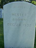 Hester Brown