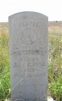 Hester Cordell