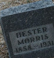 Hester F Morris Hester F Morris