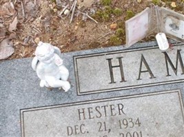 Hester Hamilton