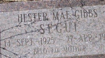 Hester Mae Gibbs Segui