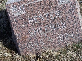 Hester Sheehan