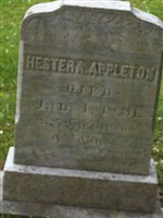 Hestera Appleton