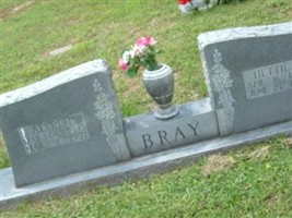 Hettie F Farmer Bray