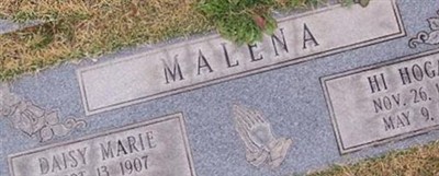 Hi Hogan Malena