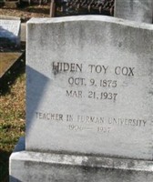 Hiden Toy Cox