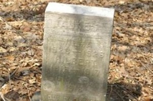 Hilbert Aukes (2406454.jpg)